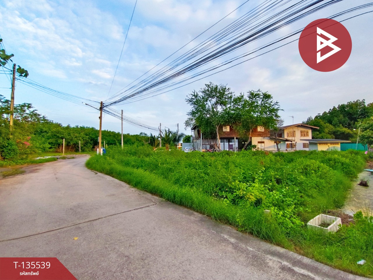 ขายที่ดิน เนื้อที่ 1 งาน กาหลง สมุทรสาคร 6