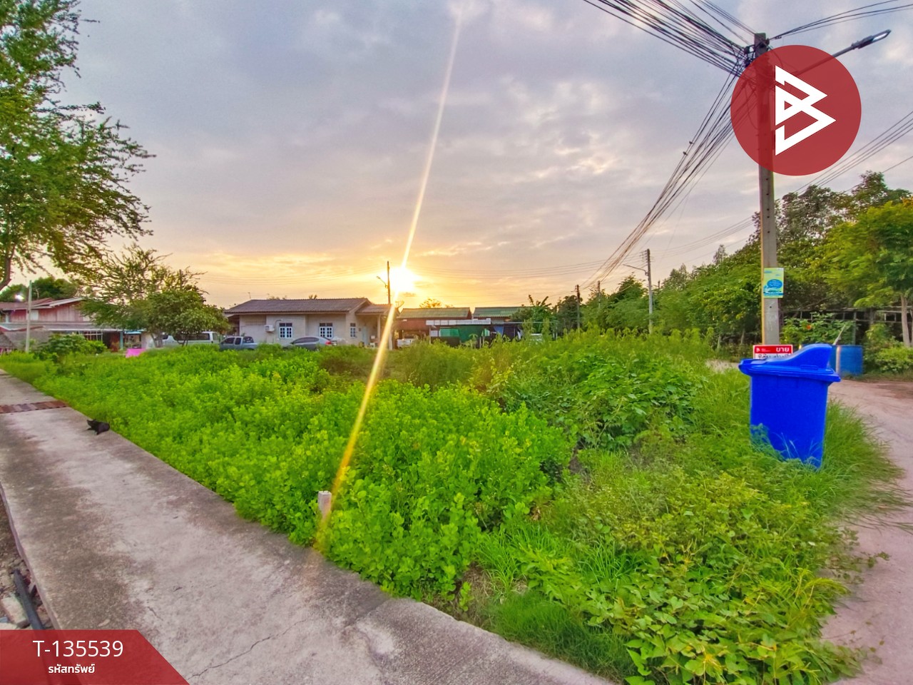 ขายที่ดิน เนื้อที่ 1 งาน กาหลง สมุทรสาคร 4