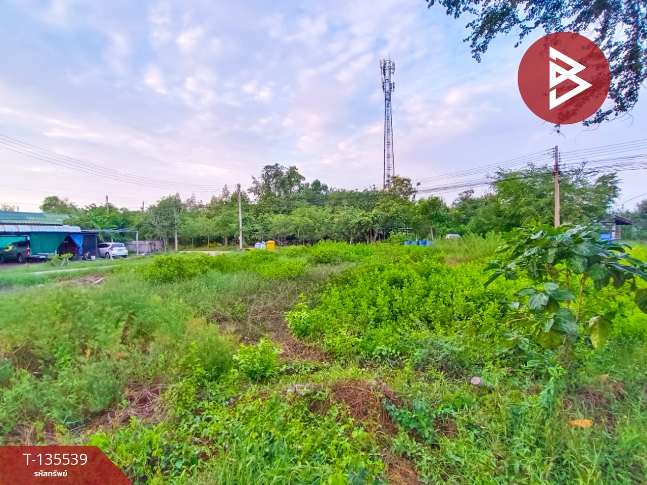 ขายที่ดิน เนื้อที่ 1 งาน กาหลง สมุทรสาคร 1