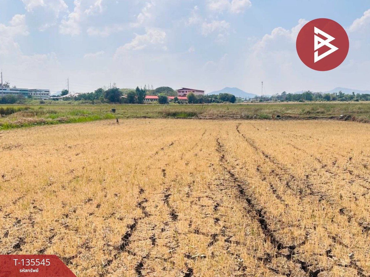 ขายที่ดิน เนื้อที่ 18 ไร่ 2 งาน 50 ตร.วา บึงสามพัน เพชรบูรณ์ 11