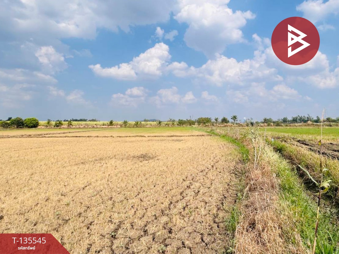 ขายที่ดิน เนื้อที่ 18 ไร่ 2 งาน 50 ตร.วา บึงสามพัน เพชรบูรณ์ 6