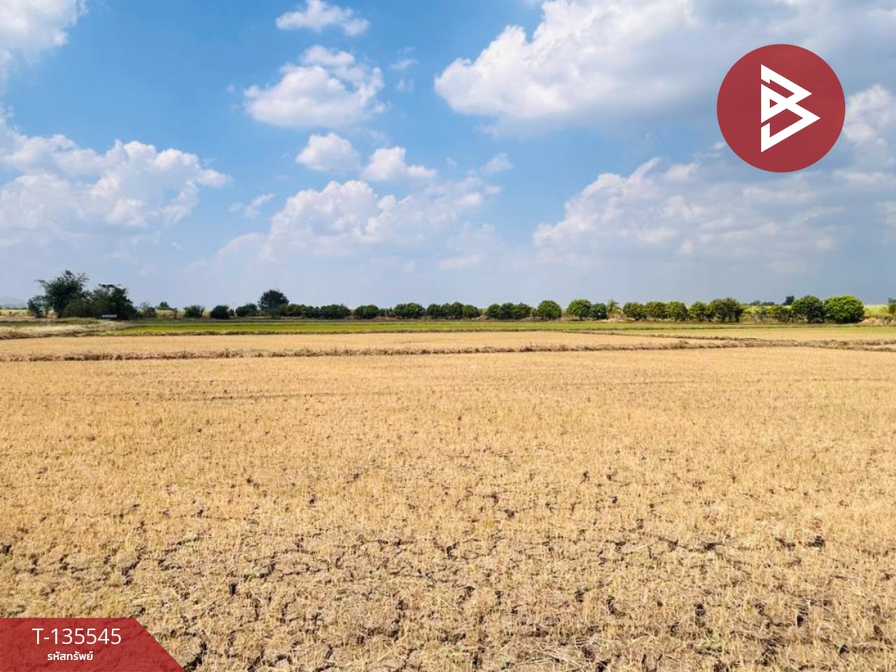 ขายที่ดิน เนื้อที่ 18 ไร่ 2 งาน 50 ตร.วา บึงสามพัน เพชรบูรณ์ 4