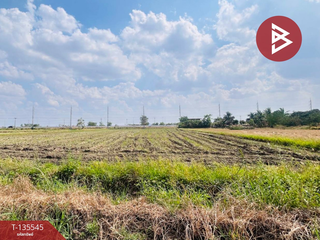 ขายที่ดิน เนื้อที่ 18 ไร่ 2 งาน 50 ตร.วา บึงสามพัน เพชรบูรณ์ 12