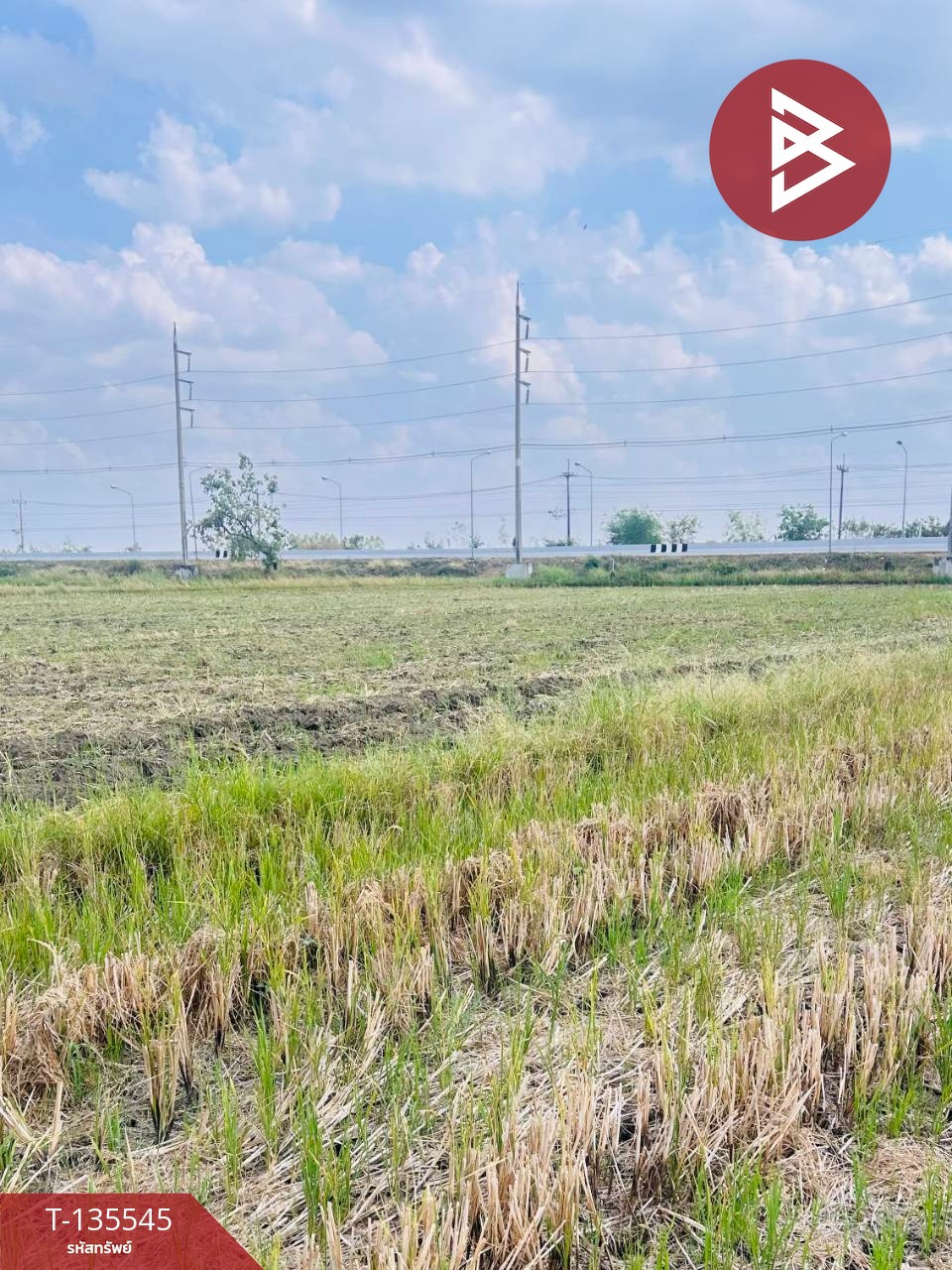 ขายที่ดิน เนื้อที่ 18 ไร่ 2 งาน 50 ตร.วา บึงสามพัน เพชรบูรณ์ 13