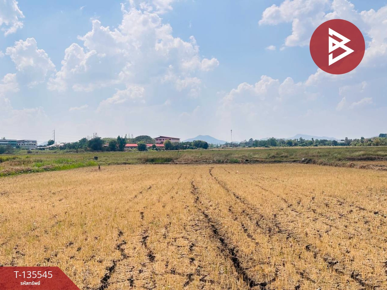 ขายที่ดิน เนื้อที่ 18 ไร่ 2 งาน 50 ตร.วา บึงสามพัน เพชรบูรณ์ 5