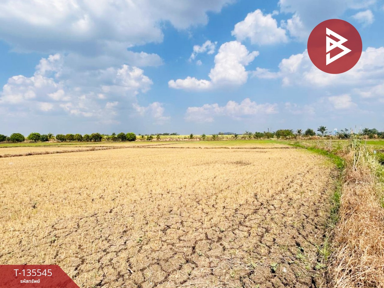 ขายที่ดิน เนื้อที่ 18 ไร่ 2 งาน 50 ตร.วา บึงสามพัน เพชรบูรณ์ 7