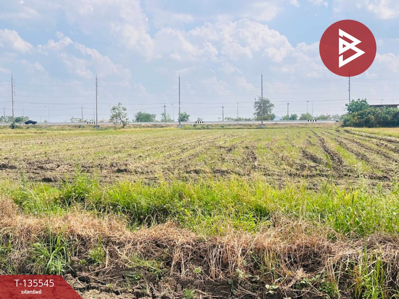 ขายที่ดิน เนื้อที่ 18 ไร่ 2 งาน 50 ตร.วา บึงสามพัน เพชรบูรณ์ 10