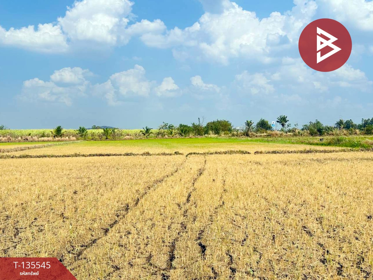 ขายที่ดิน เนื้อที่ 18 ไร่ 2 งาน 50 ตร.วา บึงสามพัน เพชรบูรณ์ 8