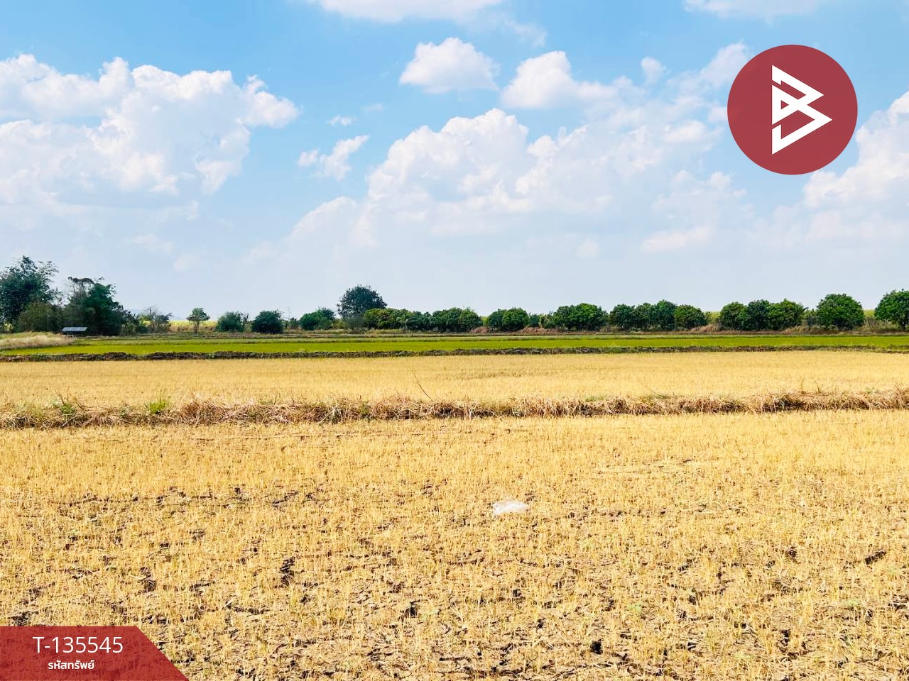 ขายที่ดิน เนื้อที่ 18 ไร่ 2 งาน 50 ตร.วา บึงสามพัน เพชรบูรณ์ 14