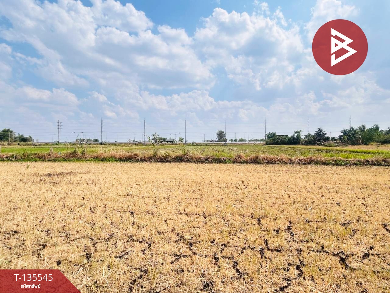 ขายที่ดิน เนื้อที่ 18 ไร่ 2 งาน 50 ตร.วา บึงสามพัน เพชรบูรณ์ 15