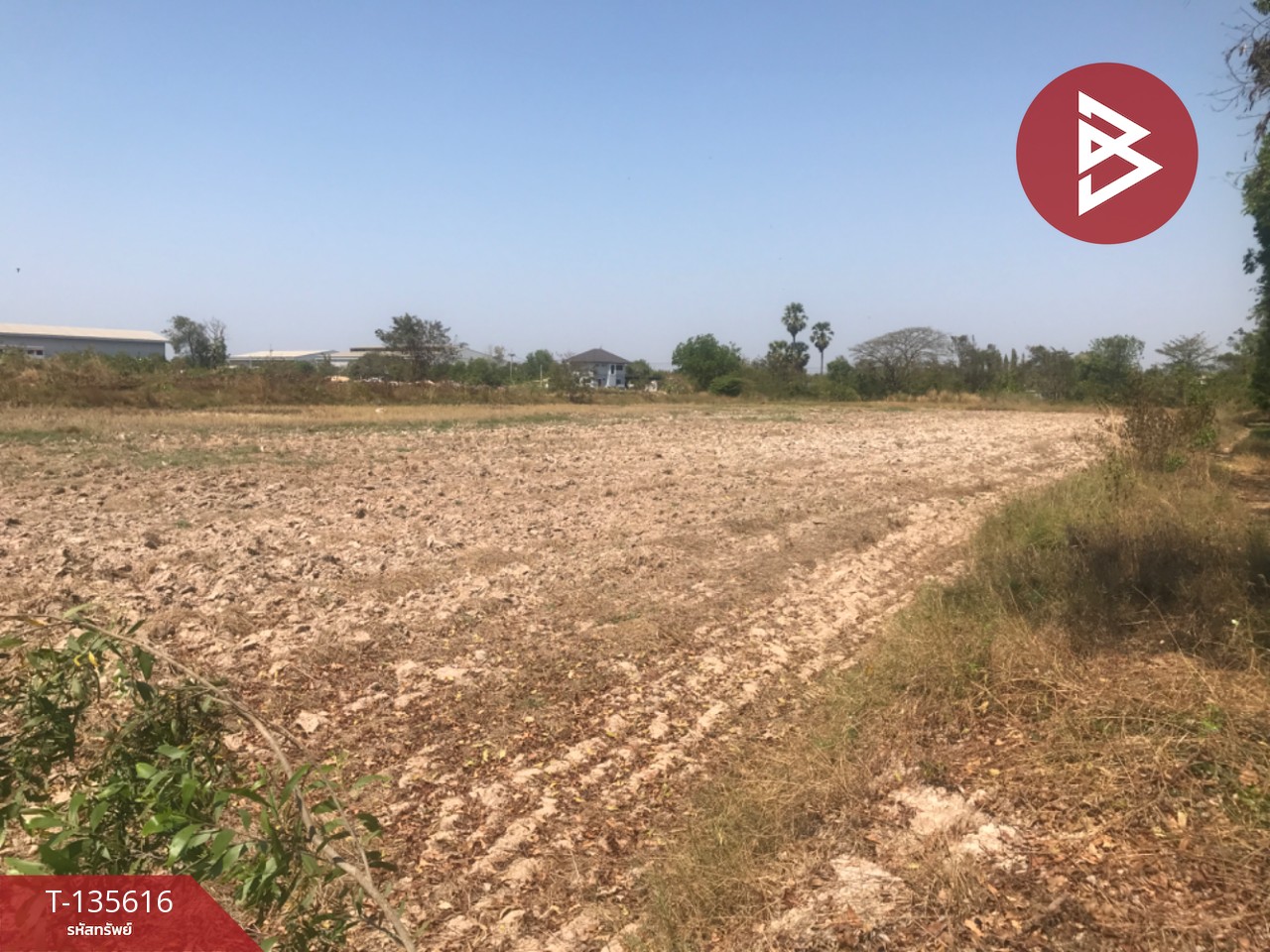 ขายที่ดิน เนื้อที่ 17 ไร่ 3 งาน 31 ตร.วา บ้านโพธิ์ ฉะเชิงเทรา 7