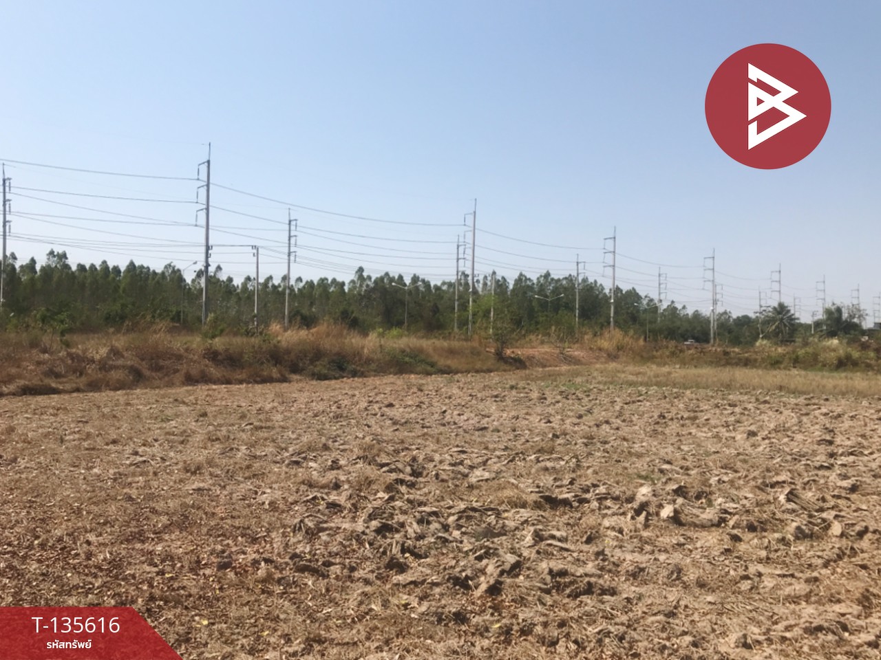 ขายที่ดิน เนื้อที่ 17 ไร่ 3 งาน 31 ตร.วา บ้านโพธิ์ ฉะเชิงเทรา 2