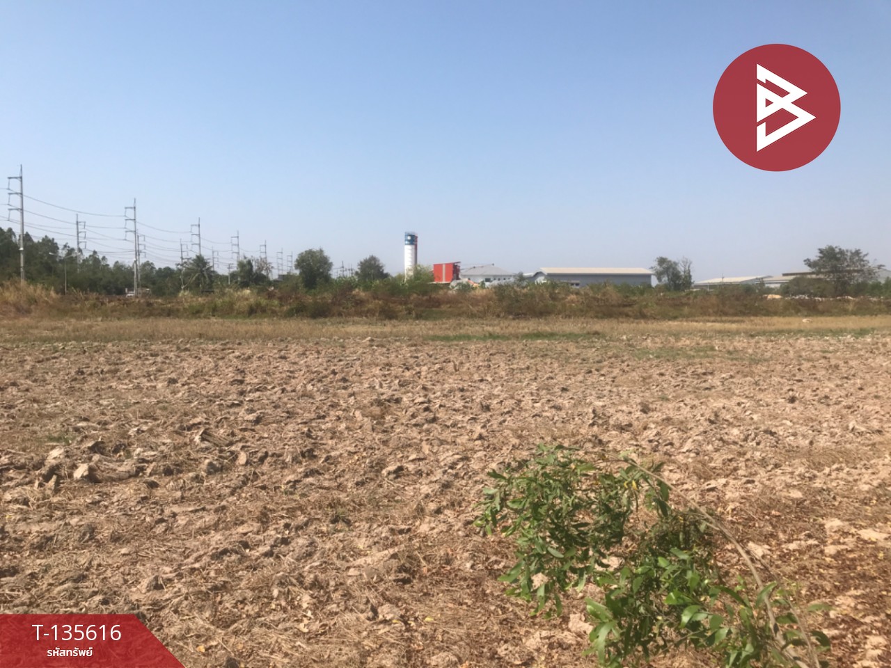 ขายที่ดิน เนื้อที่ 17 ไร่ 3 งาน 31 ตร.วา บ้านโพธิ์ ฉะเชิงเทรา 6