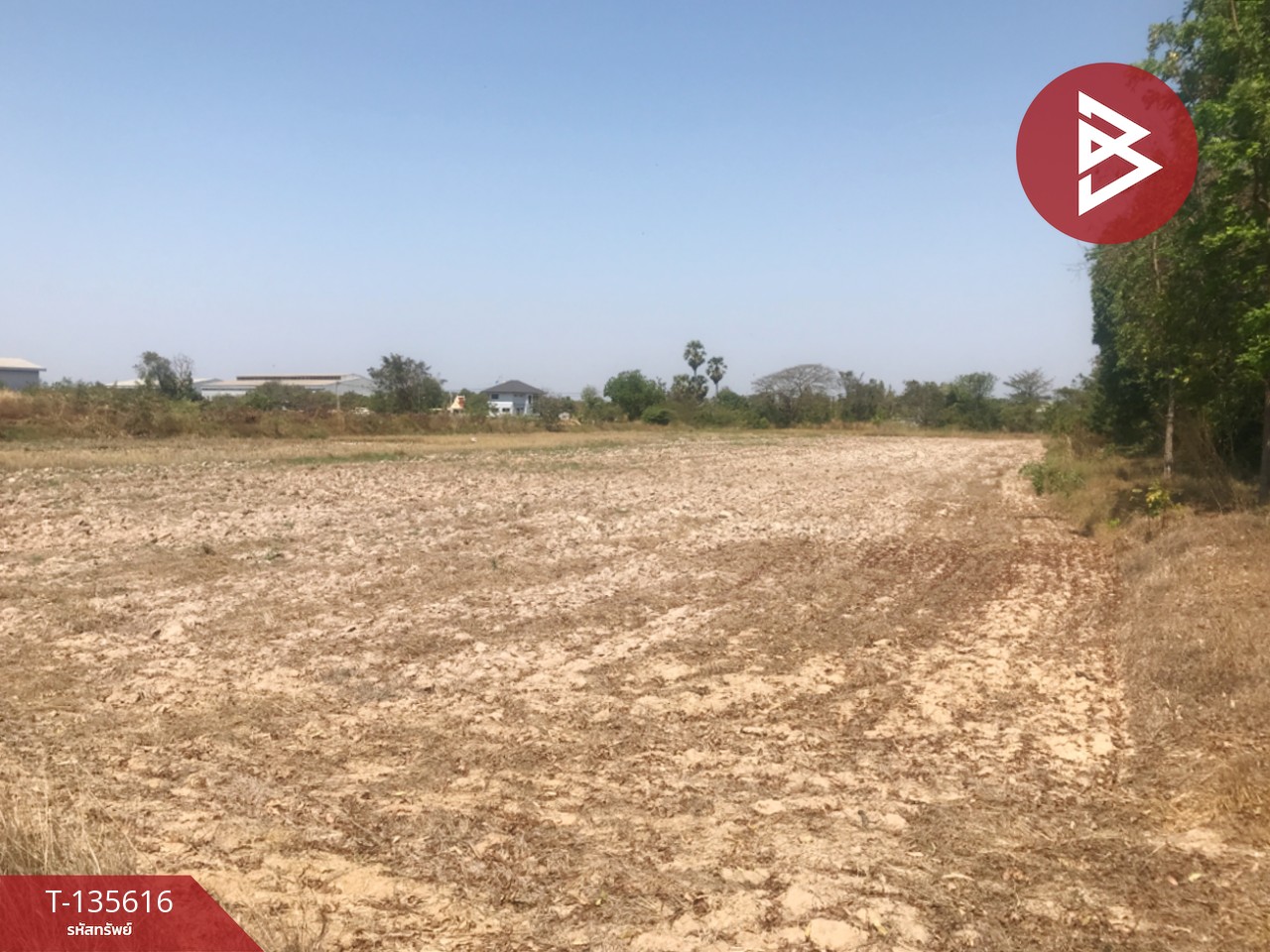 ขายที่ดิน เนื้อที่ 17 ไร่ 3 งาน 31 ตร.วา บ้านโพธิ์ ฉะเชิงเทรา 1