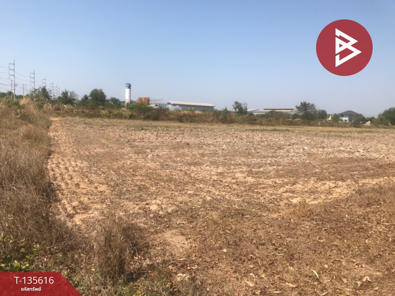 ขายที่ดิน เนื้อที่ 17 ไร่ 3 งาน 31 ตร.วา บ้านโพธิ์ ฉะเชิงเทรา 3