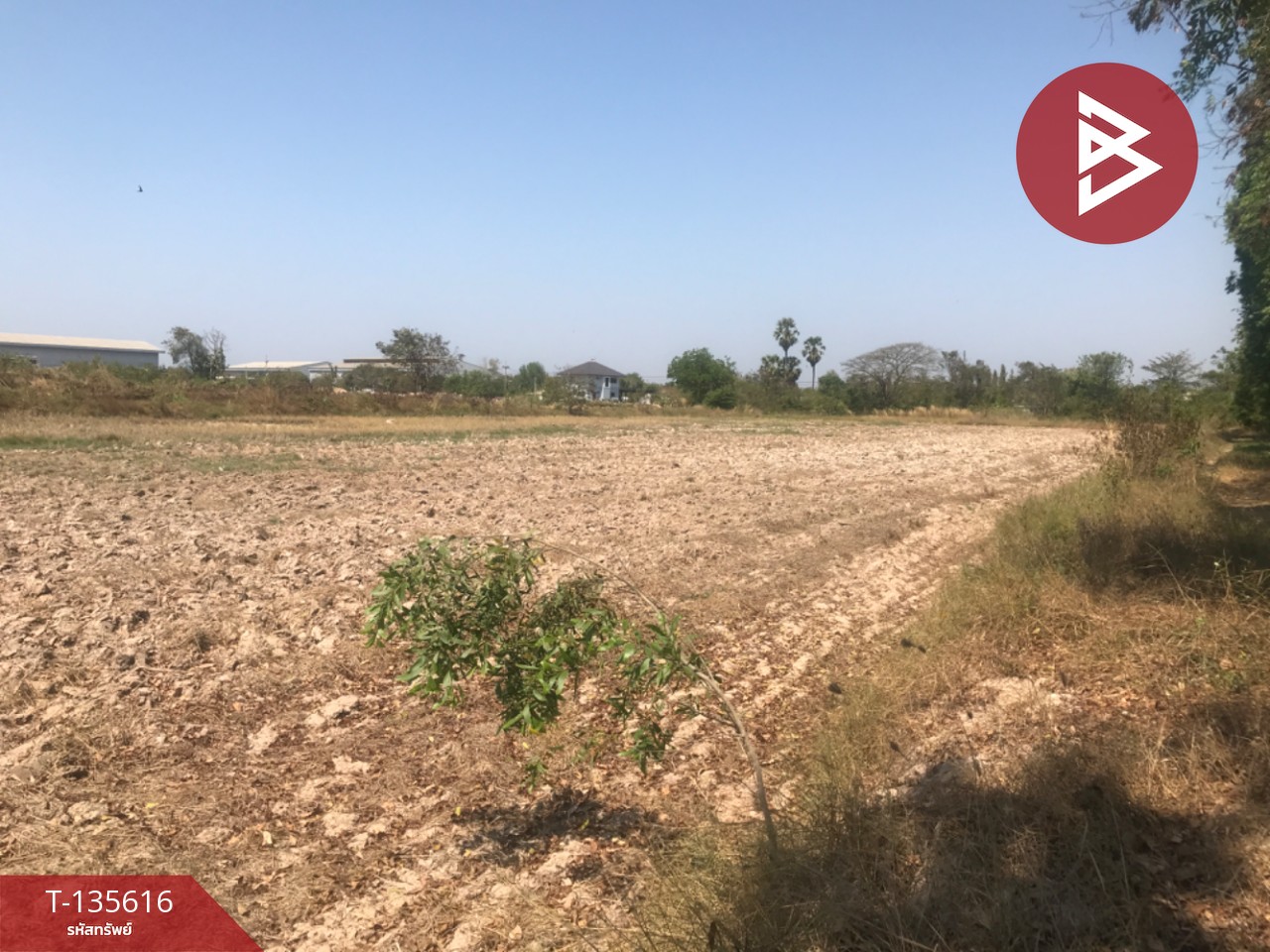 ขายที่ดิน เนื้อที่ 17 ไร่ 3 งาน 31 ตร.วา บ้านโพธิ์ ฉะเชิงเทรา 4