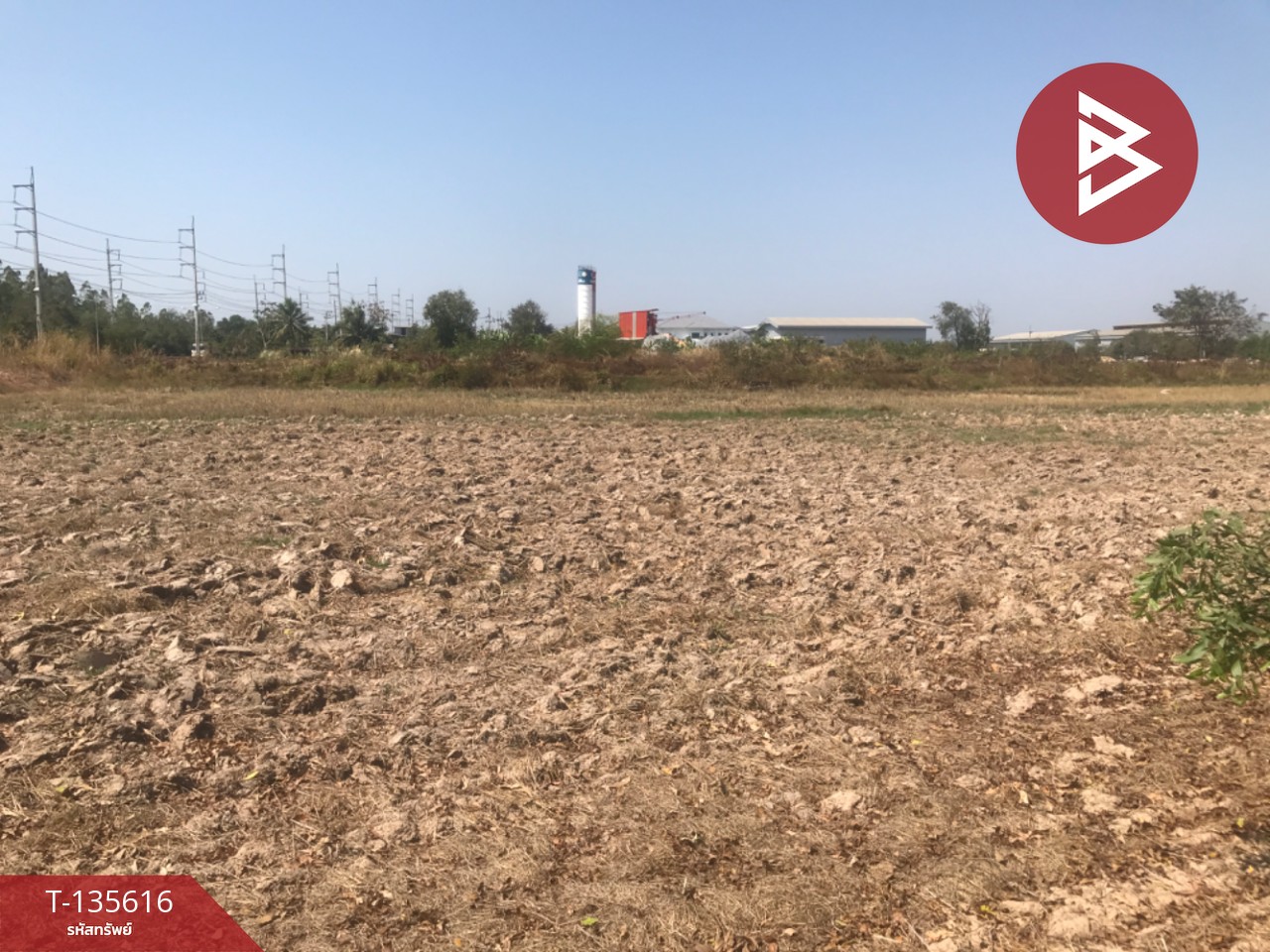 ขายที่ดิน เนื้อที่ 17 ไร่ 3 งาน 31 ตร.วา บ้านโพธิ์ ฉะเชิงเทรา 8