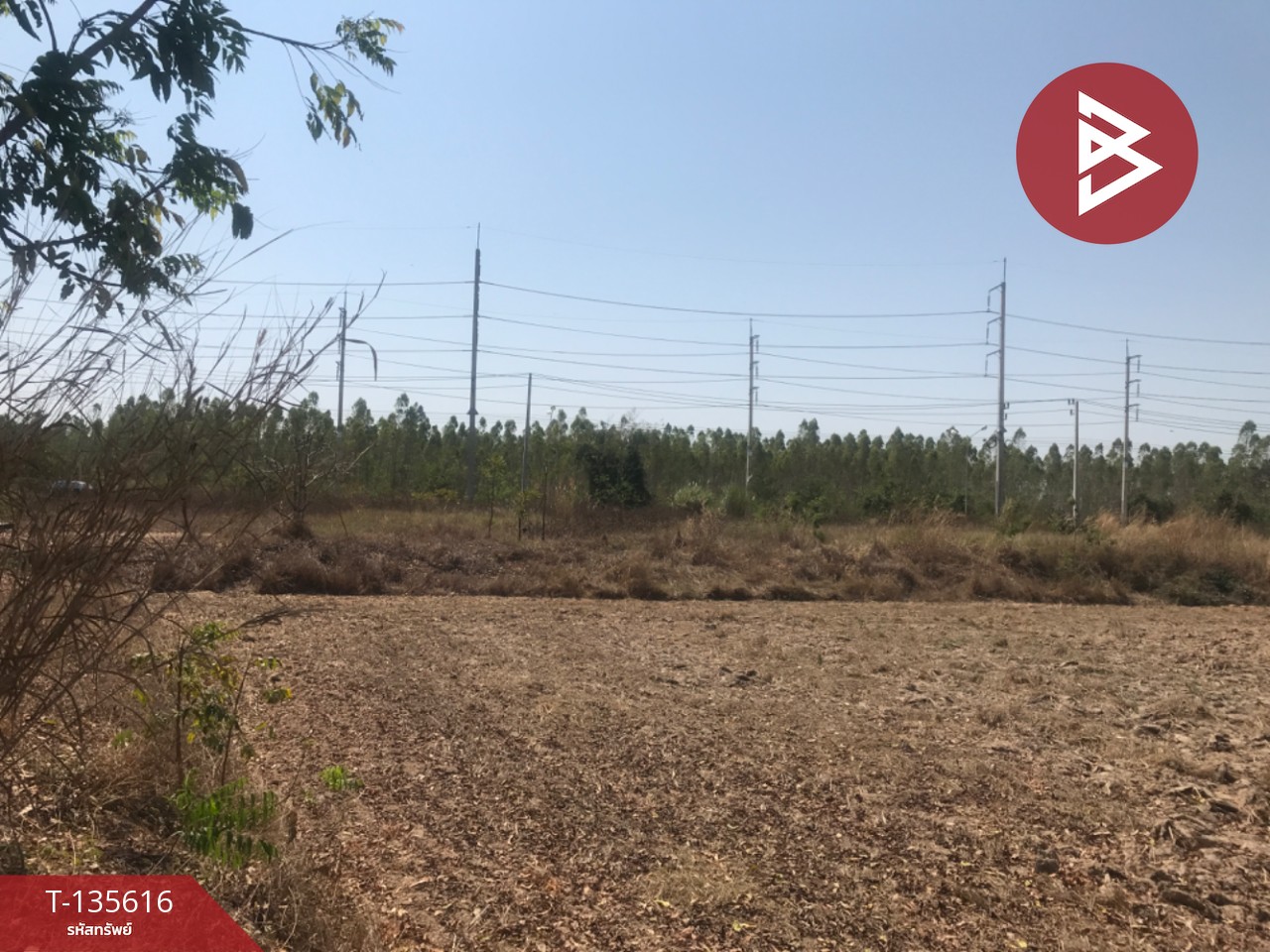 ขายที่ดิน เนื้อที่ 17 ไร่ 3 งาน 31 ตร.วา บ้านโพธิ์ ฉะเชิงเทรา 5