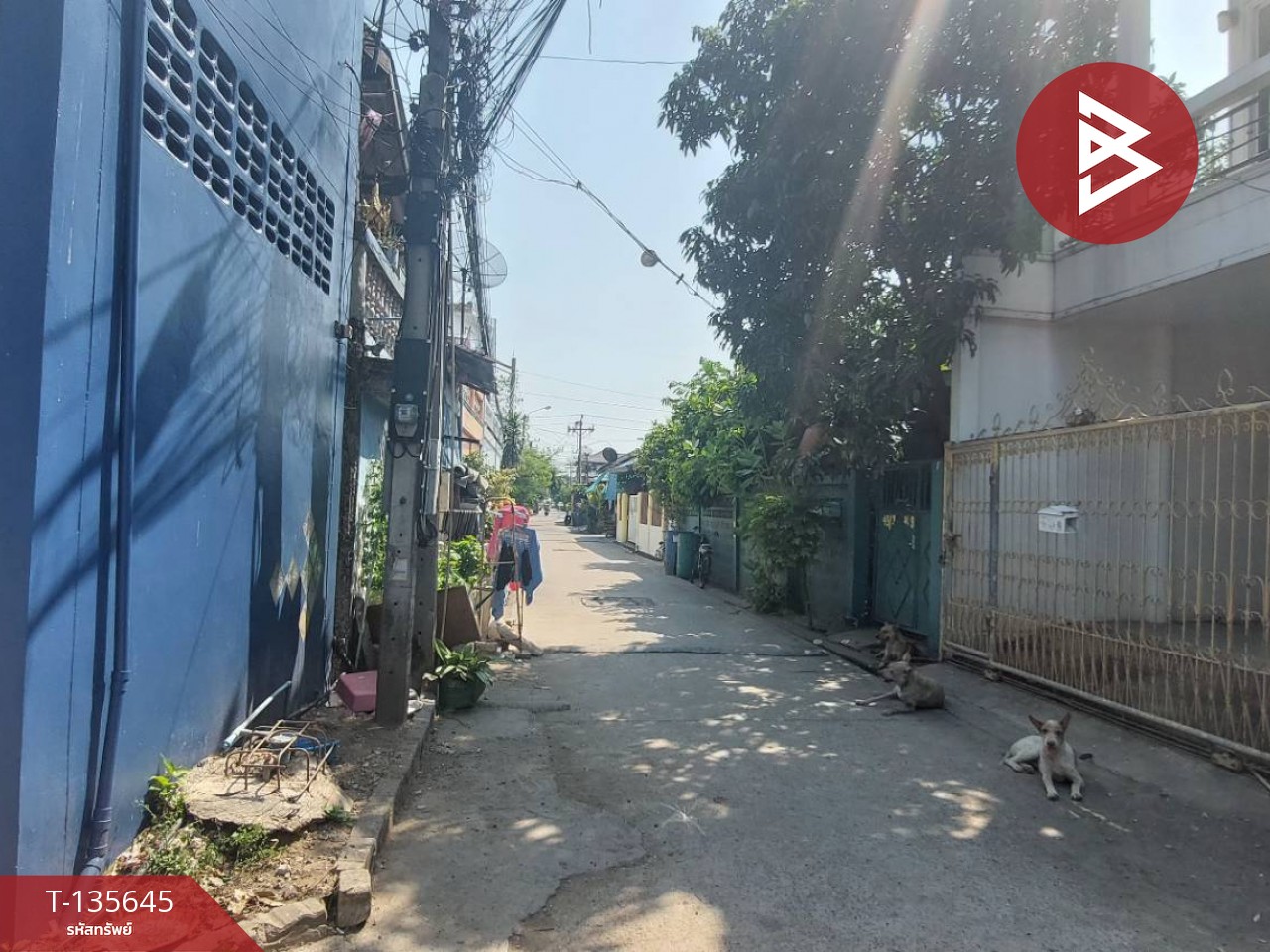 ขายที่ดิน เนื้อที่ 2 ไร่ 2 งาน 71.1 ตร.วา พระประแดง สมุทรปราการ 9