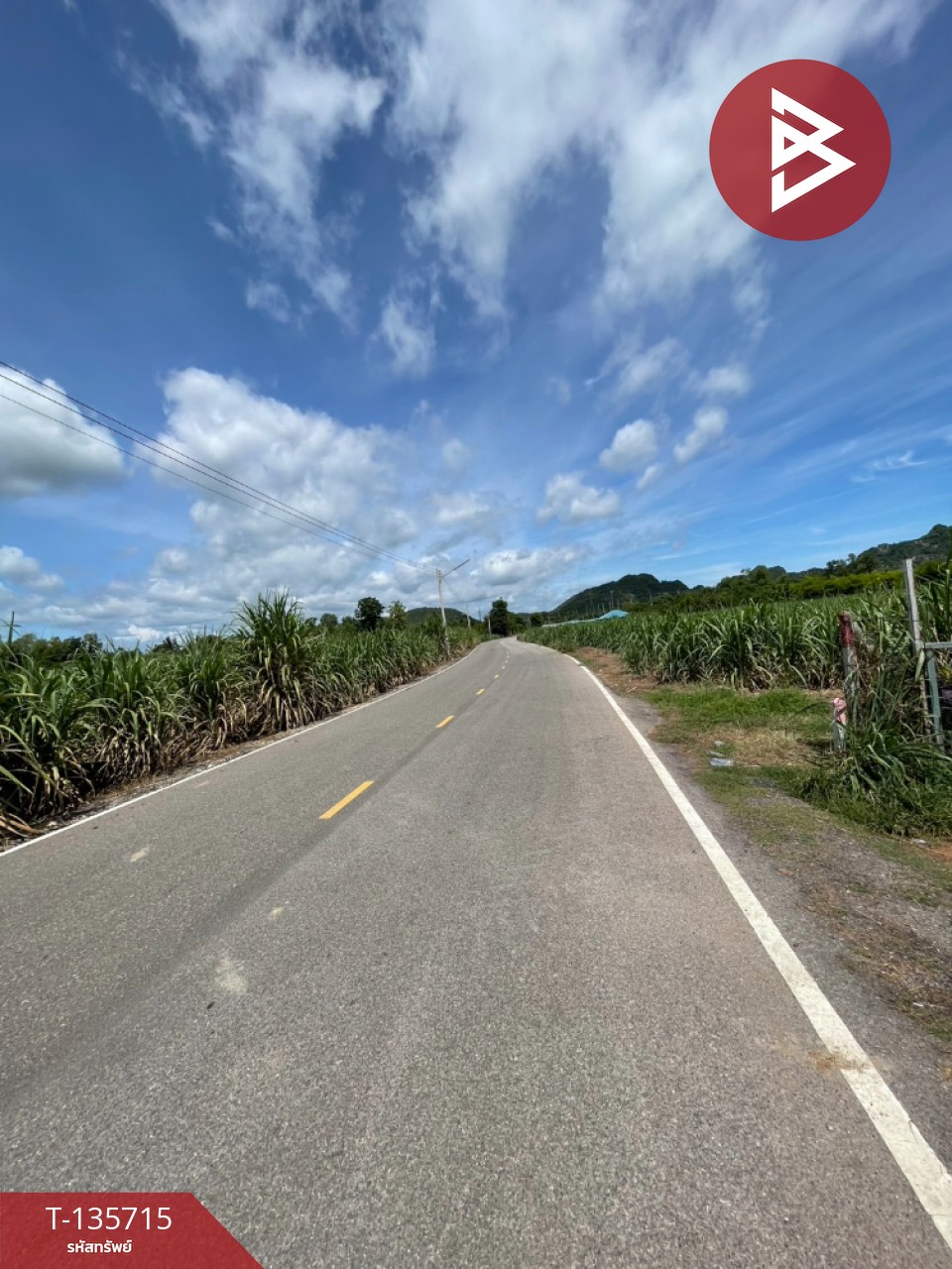 ที่ดิน เนื้อที่ 13 ไร่ 3 งาน 78.0 ตารางวา 10