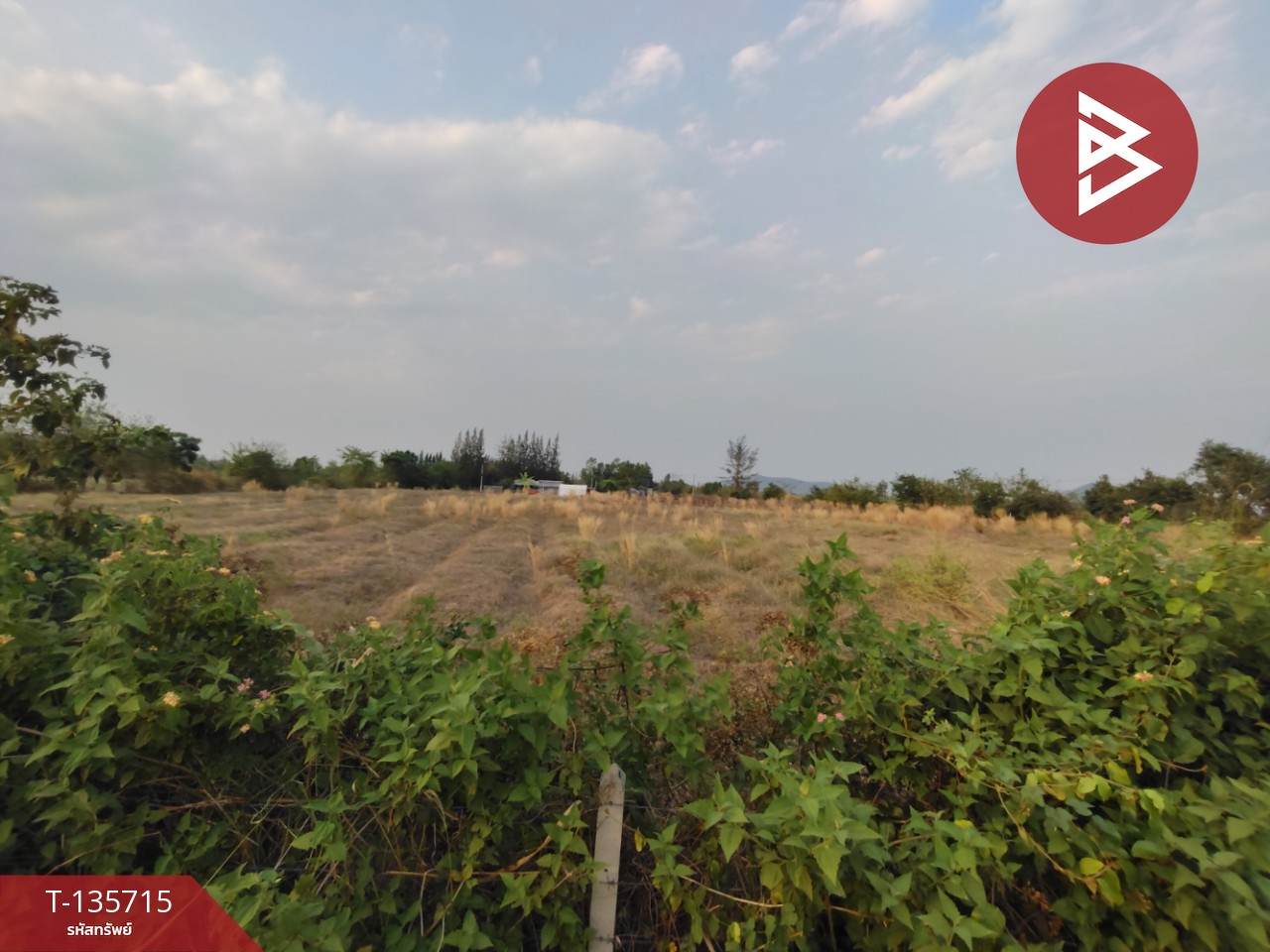 ที่ดิน เนื้อที่ 13 ไร่ 3 งาน 78.0 ตารางวา 4