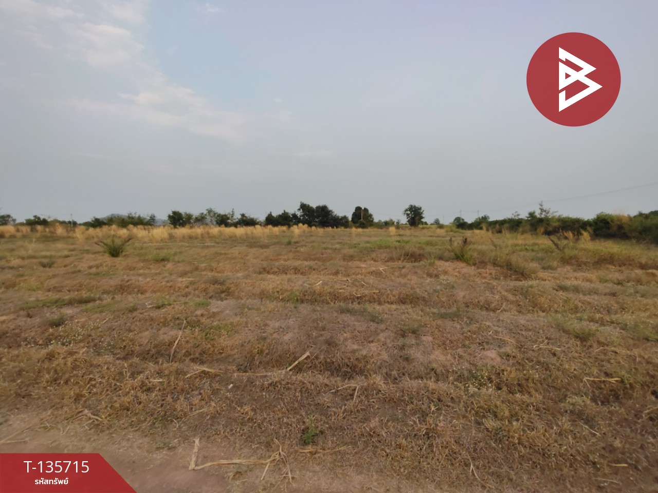 ที่ดิน เนื้อที่ 13 ไร่ 3 งาน 78.0 ตารางวา 2