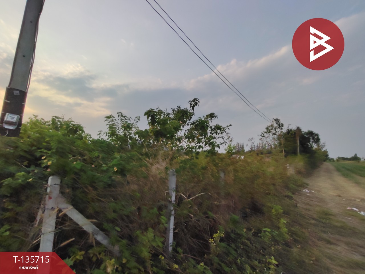 ที่ดิน เนื้อที่ 13 ไร่ 3 งาน 78.0 ตารางวา 7