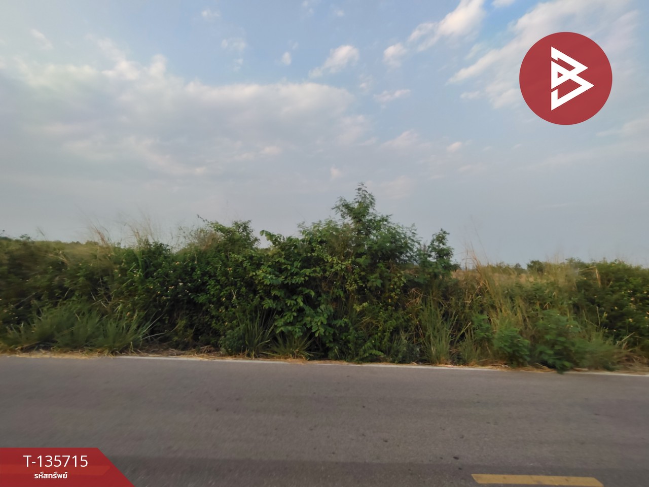 ที่ดิน เนื้อที่ 13 ไร่ 3 งาน 78.0 ตารางวา 5