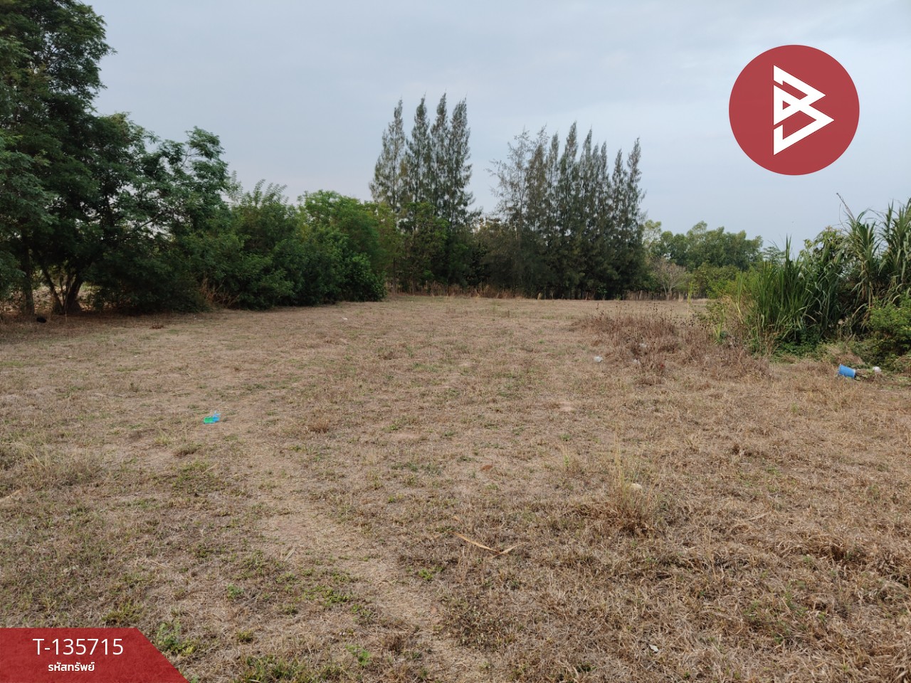 ที่ดิน เนื้อที่ 13 ไร่ 3 งาน 78.0 ตารางวา 3