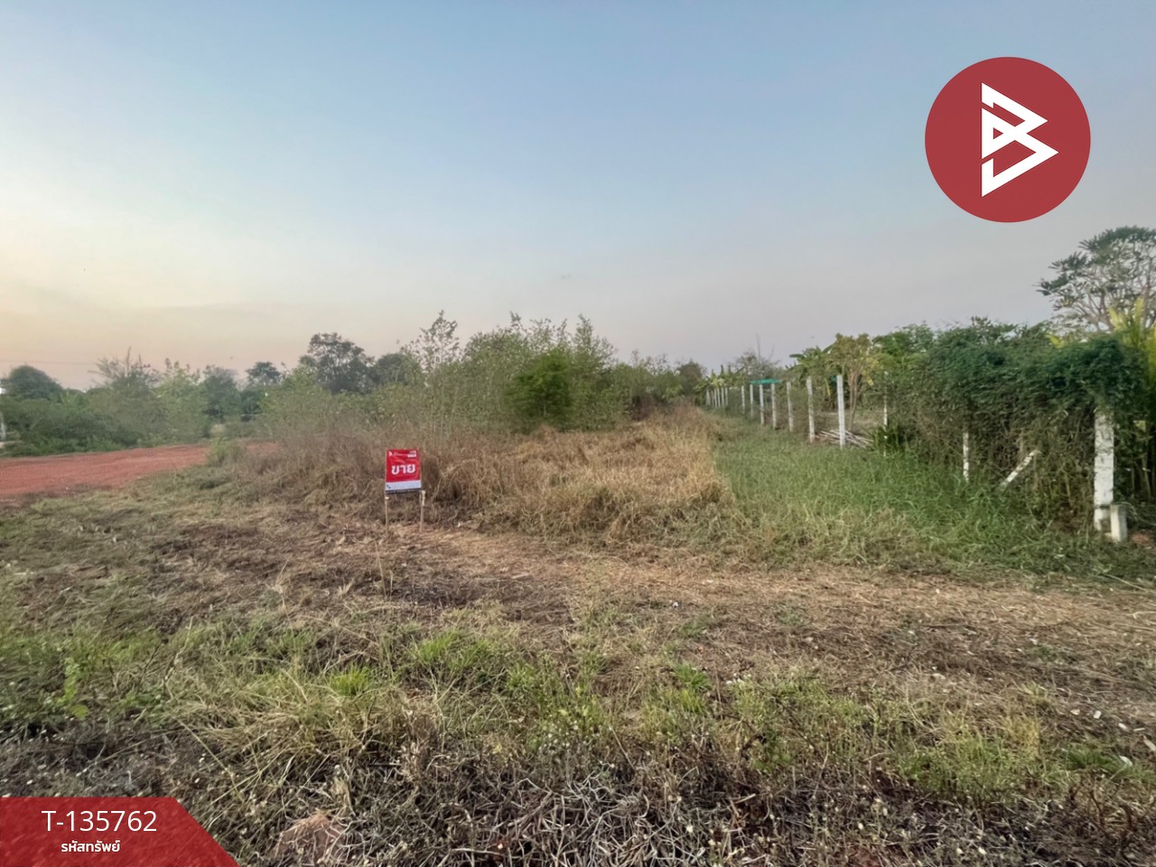 ขายที่ดิน เนื้อที่ 2 งาน ตลาด นครราชสีมา 1