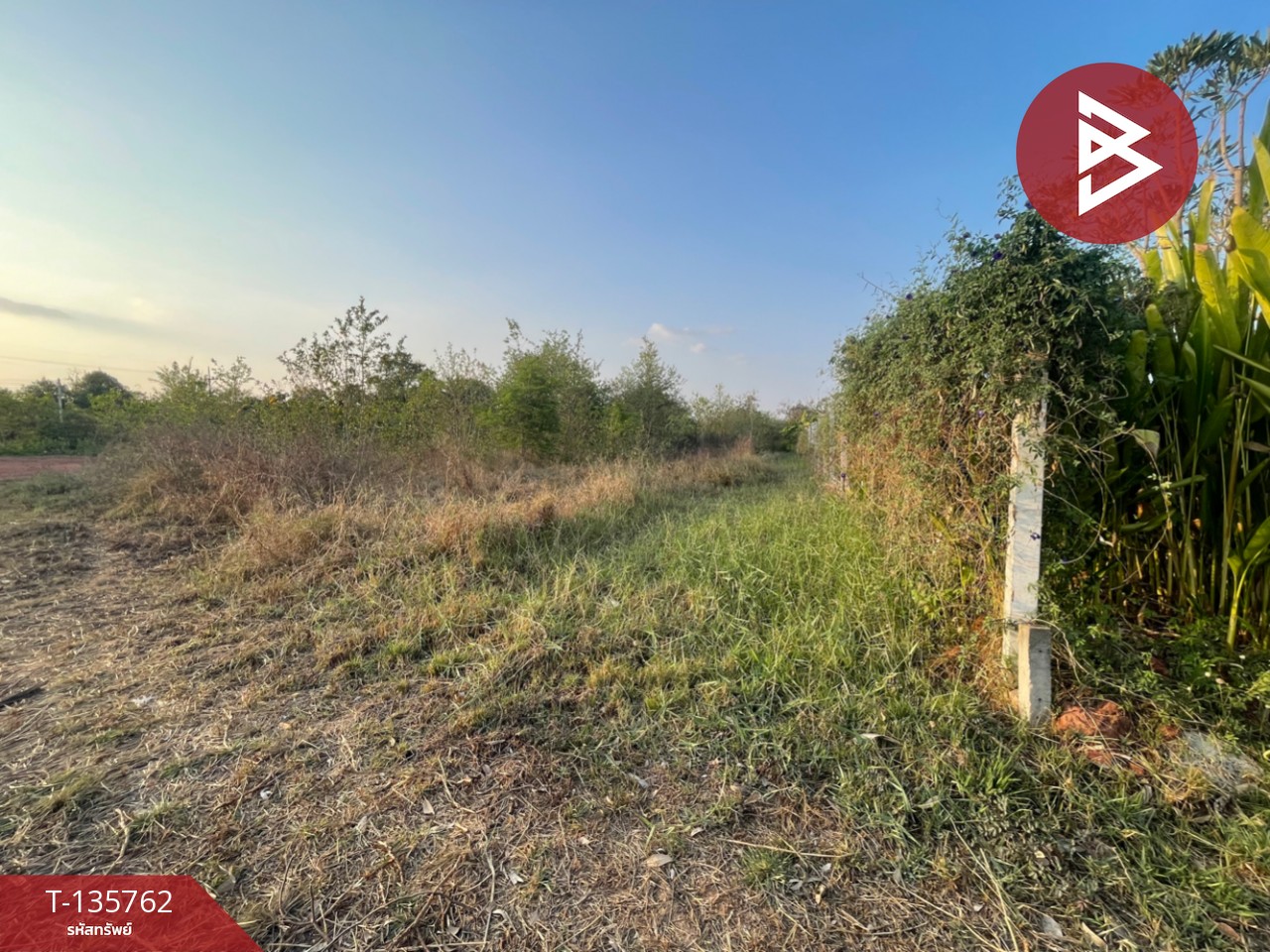 ขายที่ดิน เนื้อที่ 2 งาน ตลาด นครราชสีมา 3