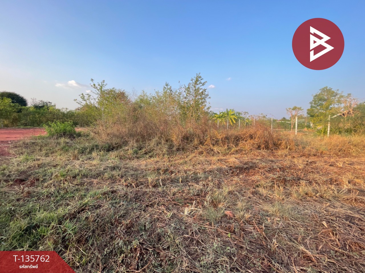 ขายที่ดิน เนื้อที่ 2 งาน ตลาด นครราชสีมา 4