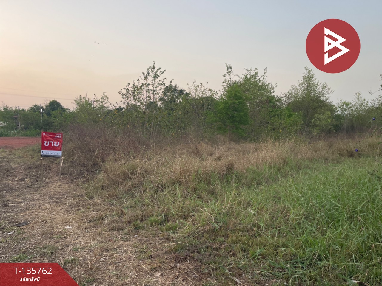 ขายที่ดิน เนื้อที่ 2 งาน ตลาด นครราชสีมา 2