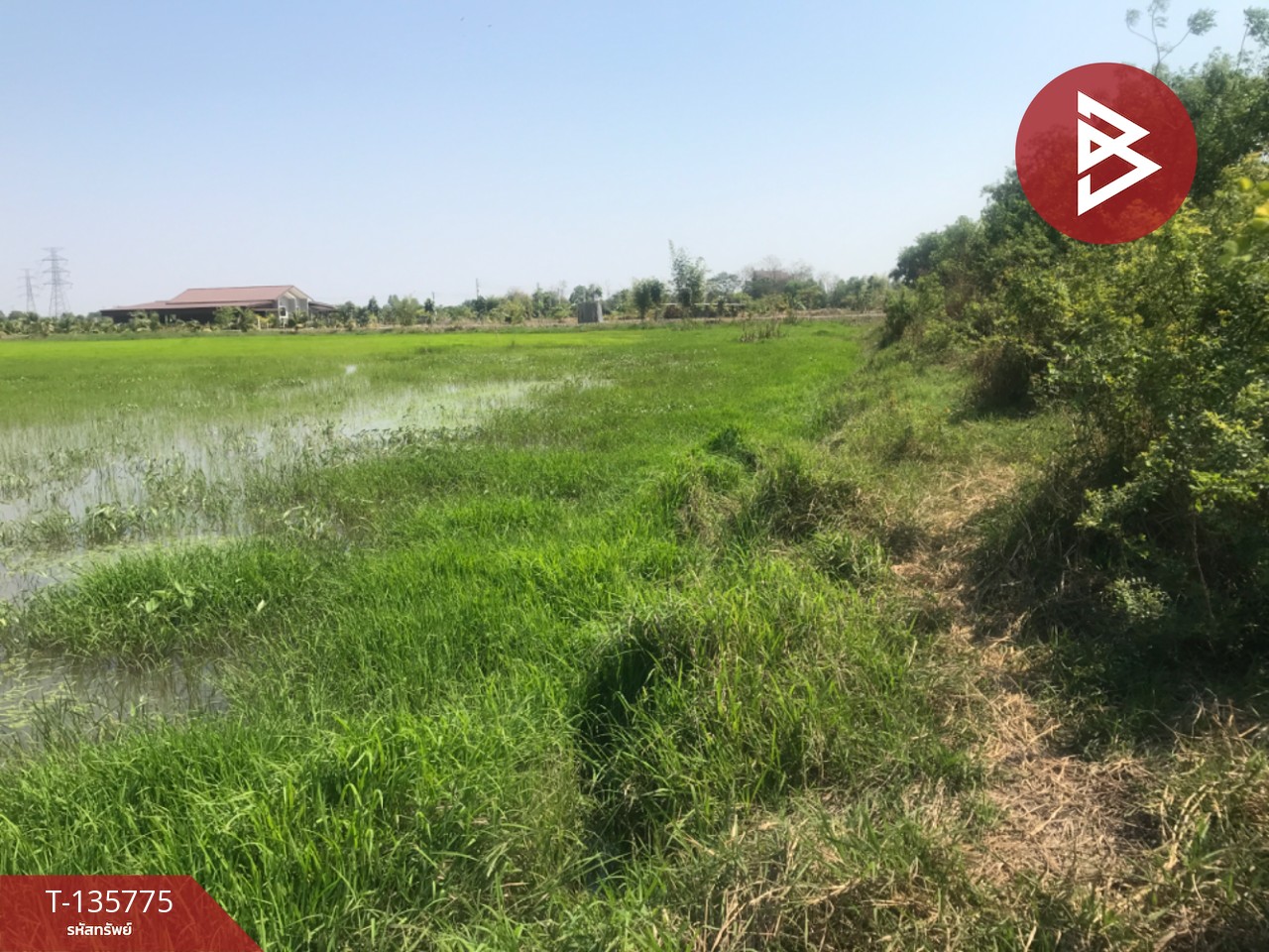 ขายที่ดิน เนื้อที่ 18 ไร่ 1 งาน 96 ตร.วา บ้านโพธิ์ ฉะเชิงเทรา 10