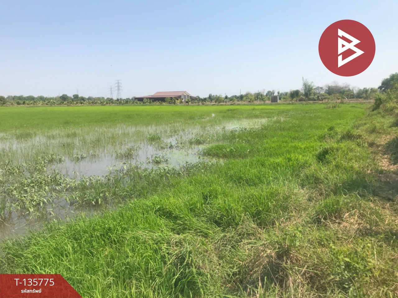 ขายที่ดิน เนื้อที่ 18 ไร่ 1 งาน 96 ตร.วา บ้านโพธิ์ ฉะเชิงเทรา 12