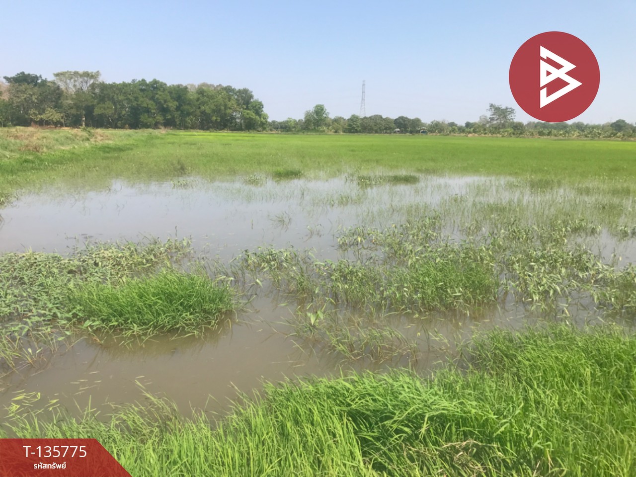 ขายที่ดิน เนื้อที่ 18 ไร่ 1 งาน 96 ตร.วา บ้านโพธิ์ ฉะเชิงเทรา 3