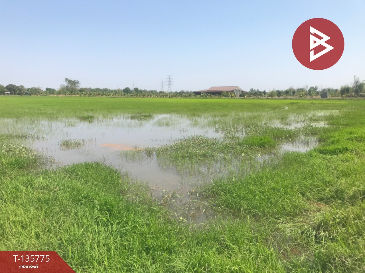 ขายที่ดิน เนื้อที่ 18 ไร่ 1 งาน 96 ตร.วา บ้านโพธิ์ ฉะเชิงเทรา 9