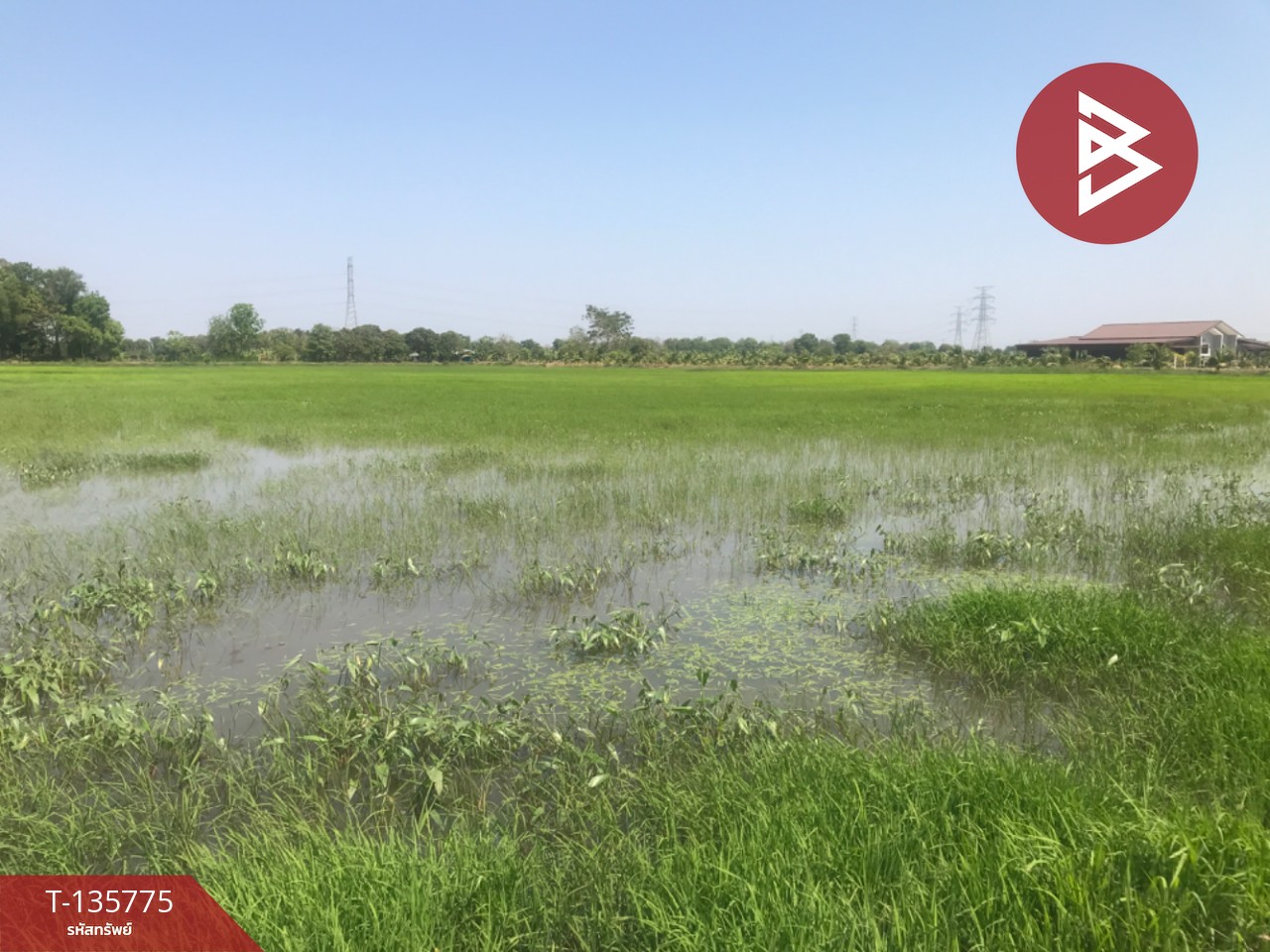 ขายที่ดิน เนื้อที่ 18 ไร่ 1 งาน 96 ตร.วา บ้านโพธิ์ ฉะเชิงเทรา 4