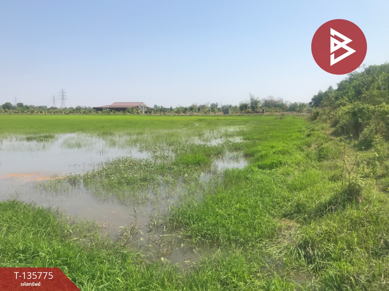 ขายที่ดิน เนื้อที่ 18 ไร่ 1 งาน 96 ตร.วา บ้านโพธิ์ ฉะเชิงเทรา 6