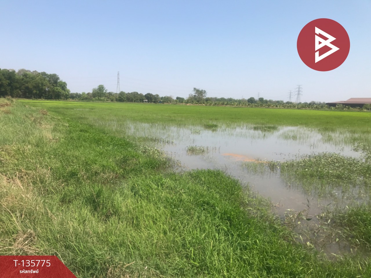 ขายที่ดิน เนื้อที่ 18 ไร่ 1 งาน 96 ตร.วา บ้านโพธิ์ ฉะเชิงเทรา 8