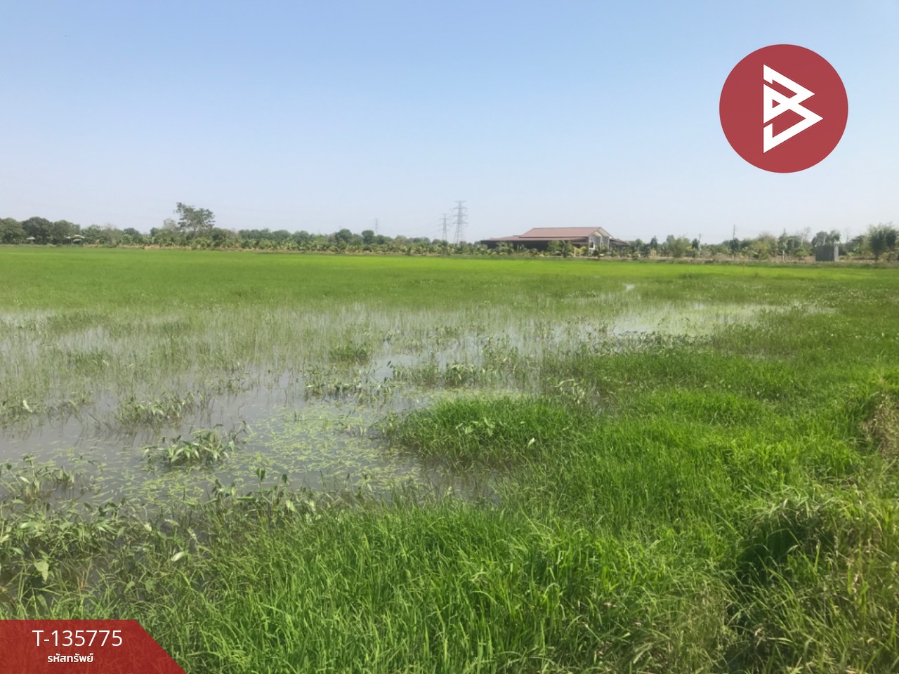 ขายที่ดิน เนื้อที่ 18 ไร่ 1 งาน 96 ตร.วา บ้านโพธิ์ ฉะเชิงเทรา 2