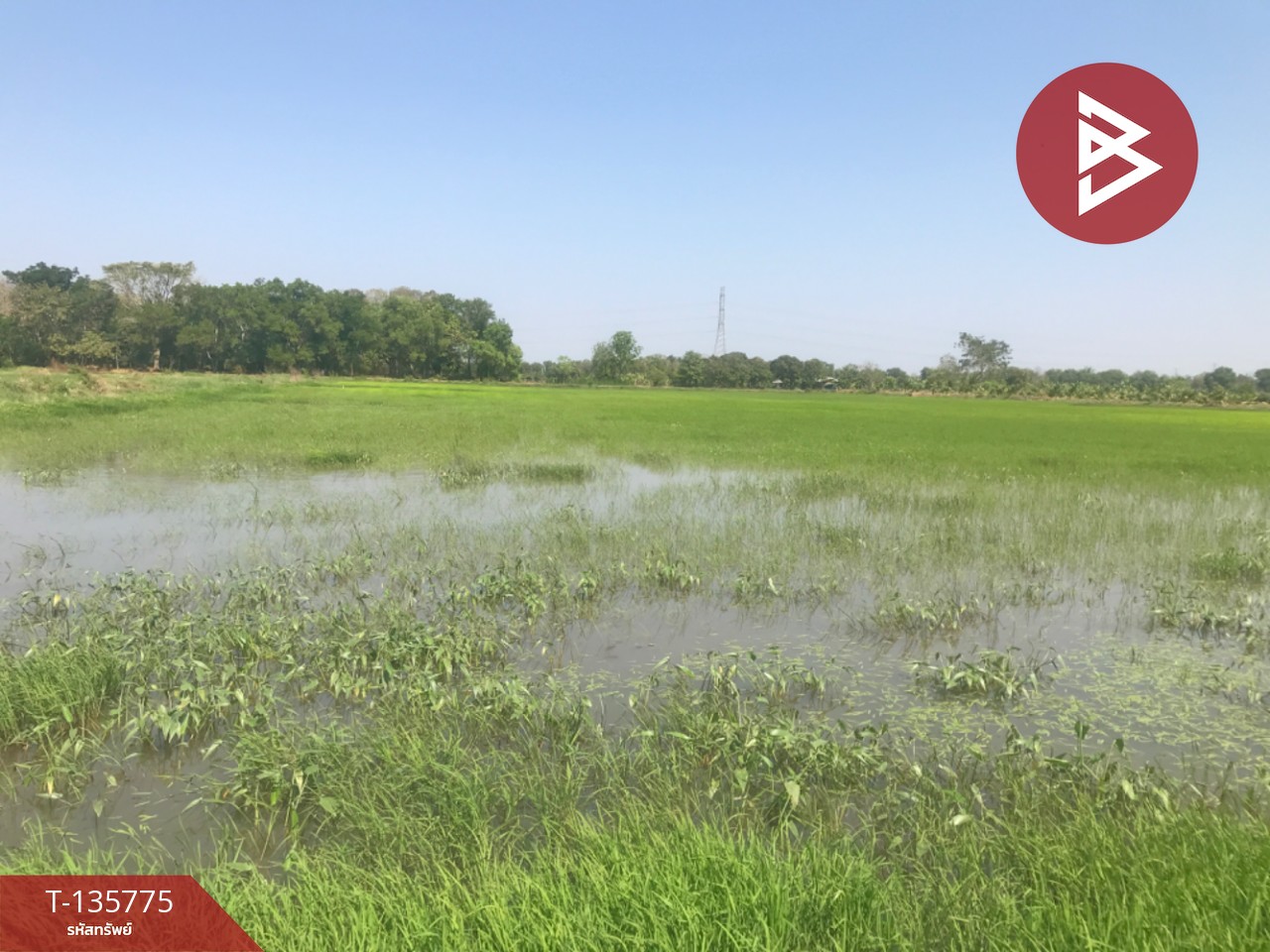 ขายที่ดิน เนื้อที่ 18 ไร่ 1 งาน 96 ตร.วา บ้านโพธิ์ ฉะเชิงเทรา 1