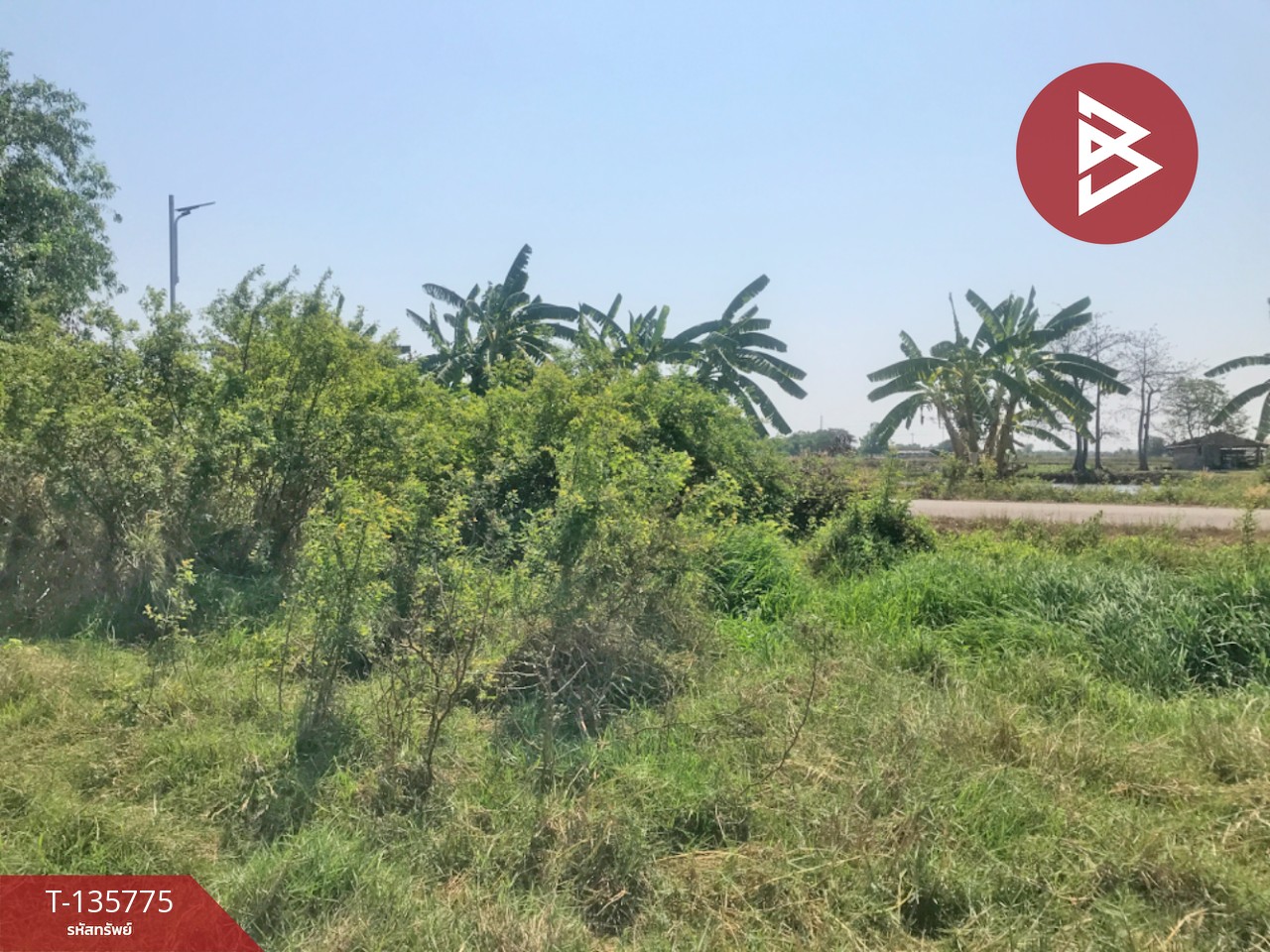 ขายที่ดิน เนื้อที่ 18 ไร่ 1 งาน 96 ตร.วา บ้านโพธิ์ ฉะเชิงเทรา 11