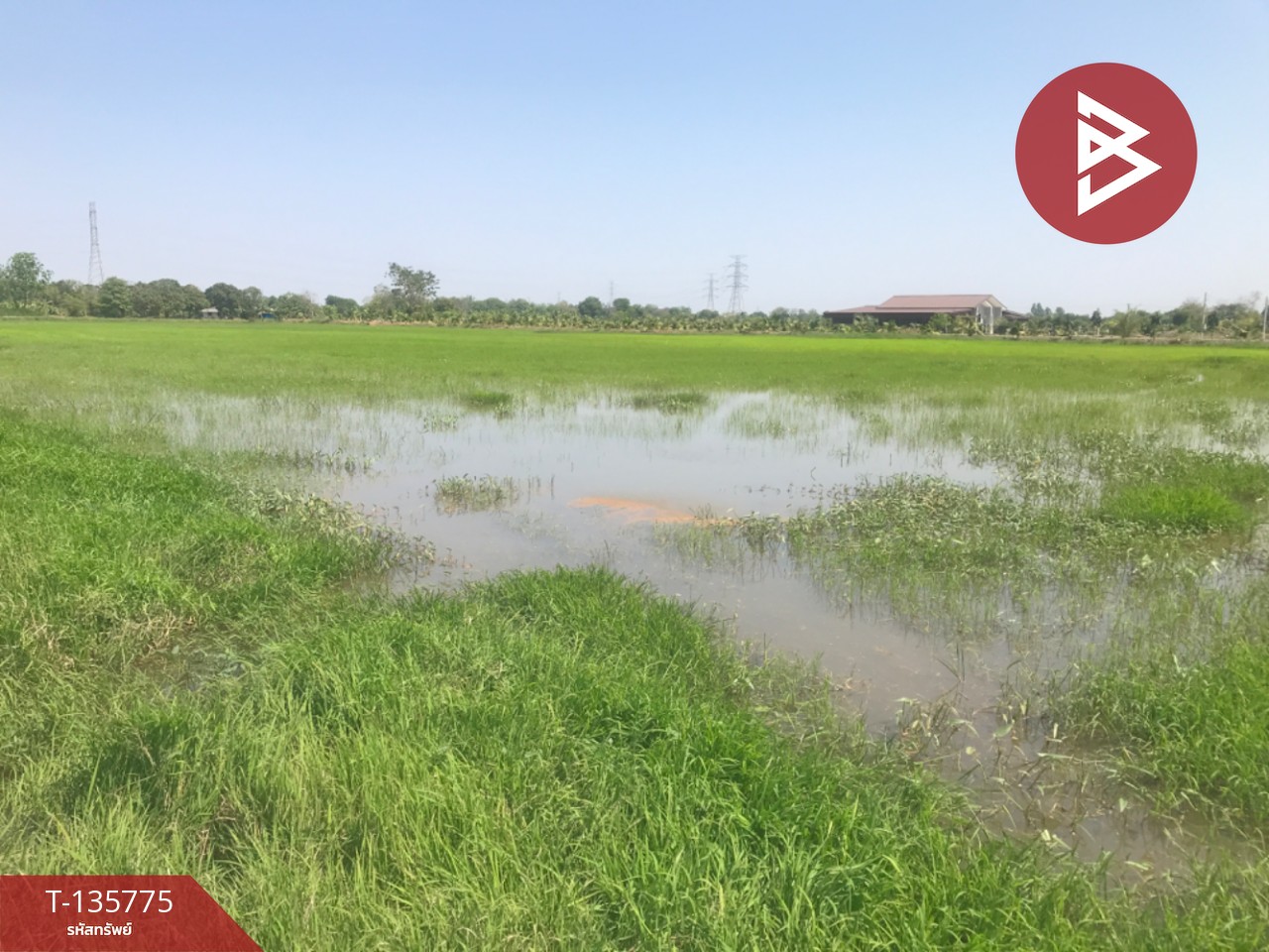 ขายที่ดิน เนื้อที่ 18 ไร่ 1 งาน 96 ตร.วา บ้านโพธิ์ ฉะเชิงเทรา 7