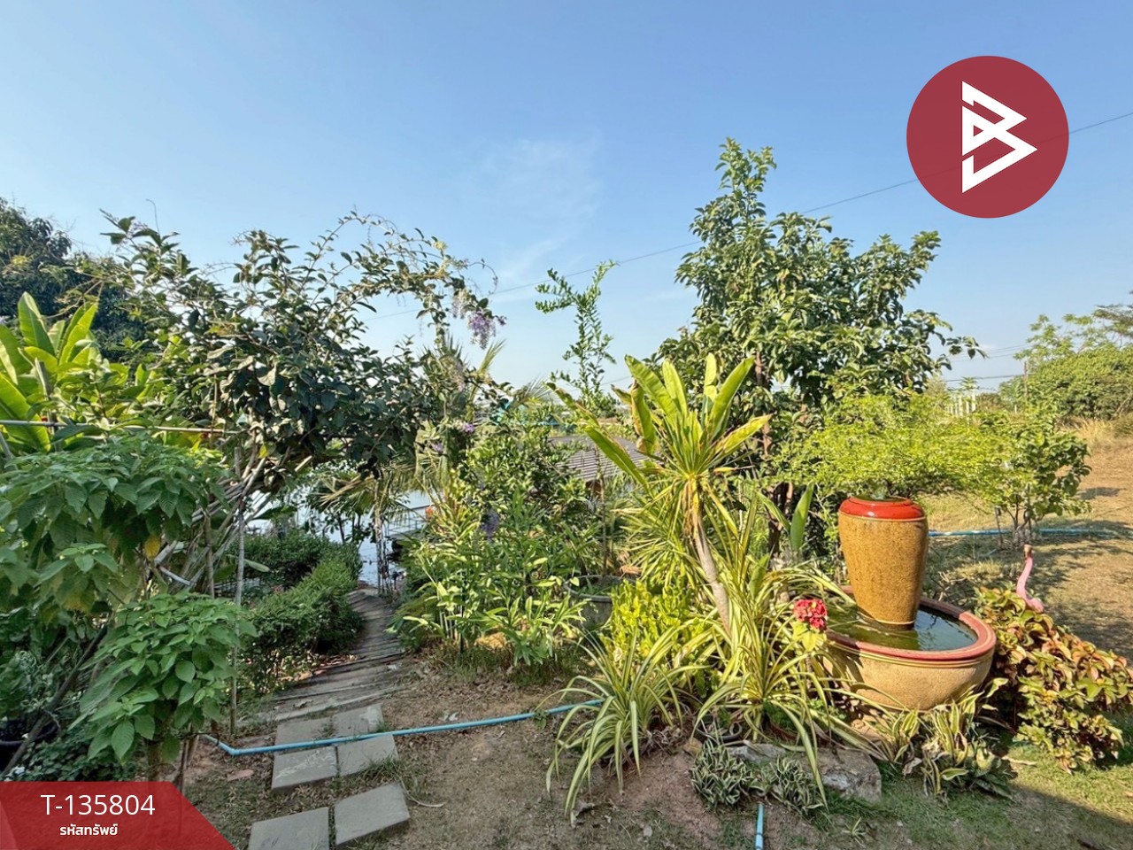 ขายที่ดินพร้อมสิ่งปลูกสร้าง เนื้อที่ 5 ไร่ หนองแค สระบุรี 5