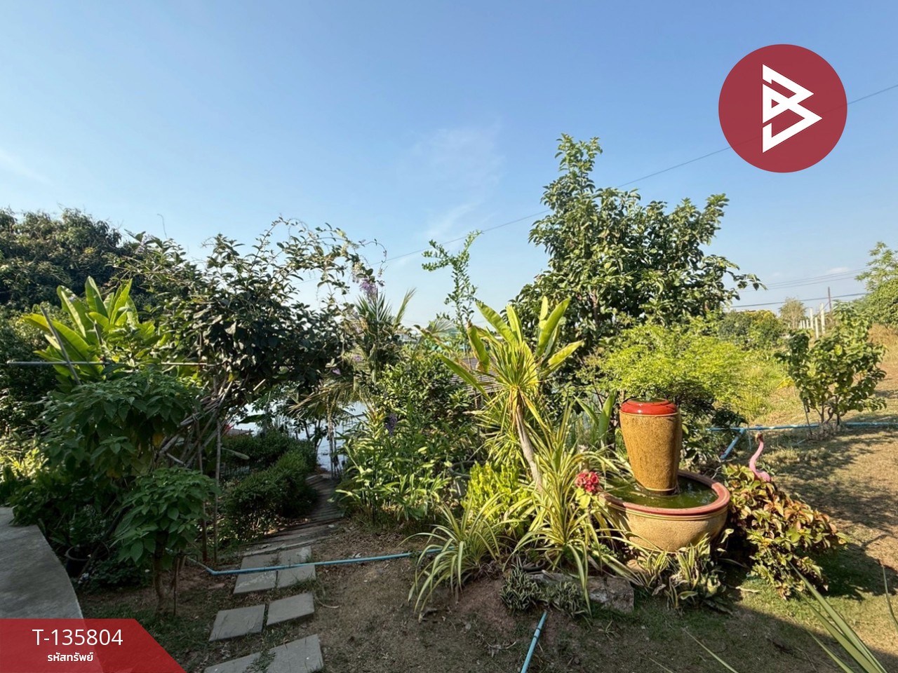 ขายที่ดินพร้อมสิ่งปลูกสร้าง เนื้อที่ 5 ไร่ หนองแค สระบุรี 4