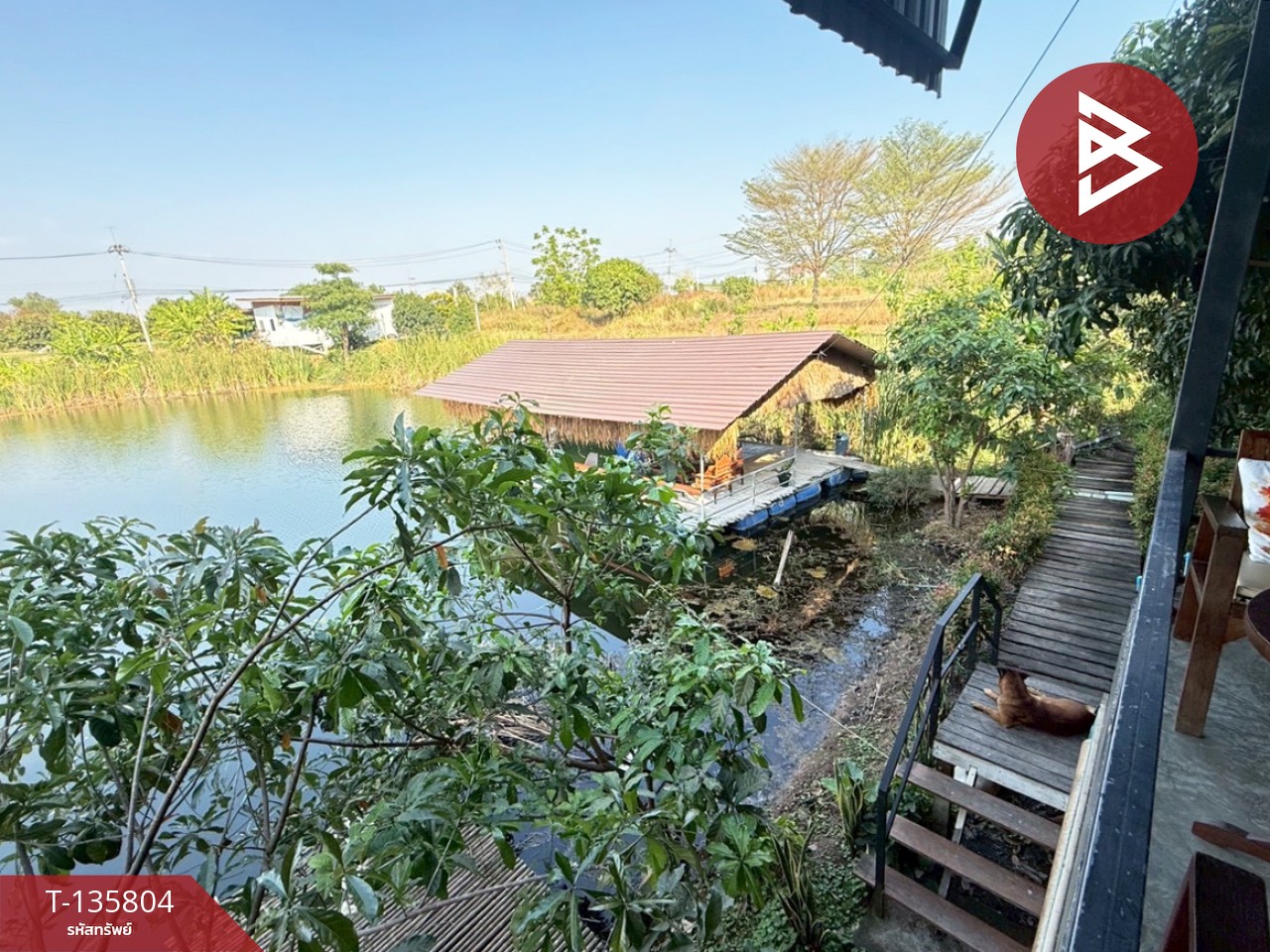 ขายที่ดินพร้อมสิ่งปลูกสร้าง เนื้อที่ 5 ไร่ หนองแค สระบุรี 11