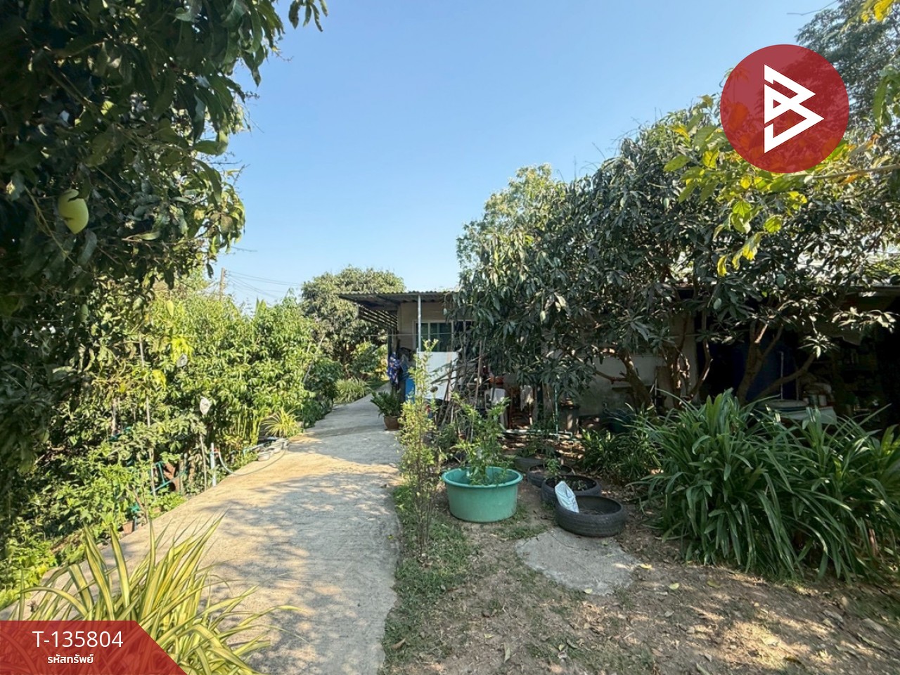 ขายที่ดินพร้อมสิ่งปลูกสร้าง เนื้อที่ 5 ไร่ หนองแค สระบุรี 3