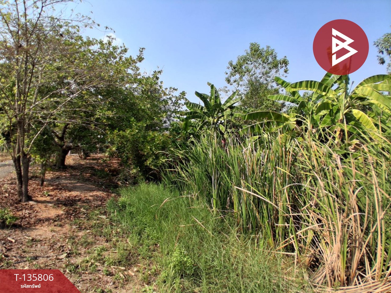 ขายที่ดิน เนื้อที่ 3 งาน 29.1 ตร.วา องครักษ์ นครนายก 5