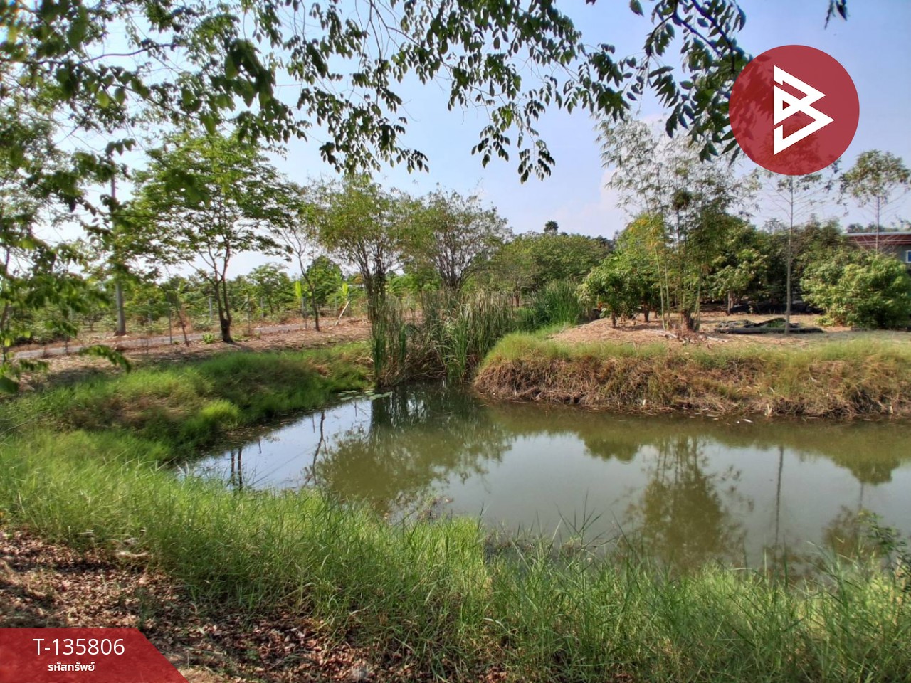 ขายที่ดิน เนื้อที่ 3 งาน 29.1 ตร.วา องครักษ์ นครนายก 9